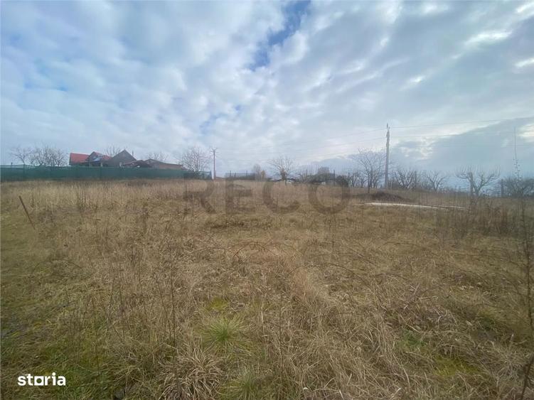 RECO teren Marghita - 3