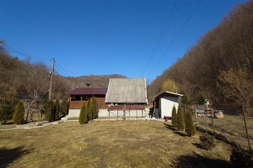 Iaz de vanzare in Apuseni- cazare, agrement si pescuit la DN74 - 14