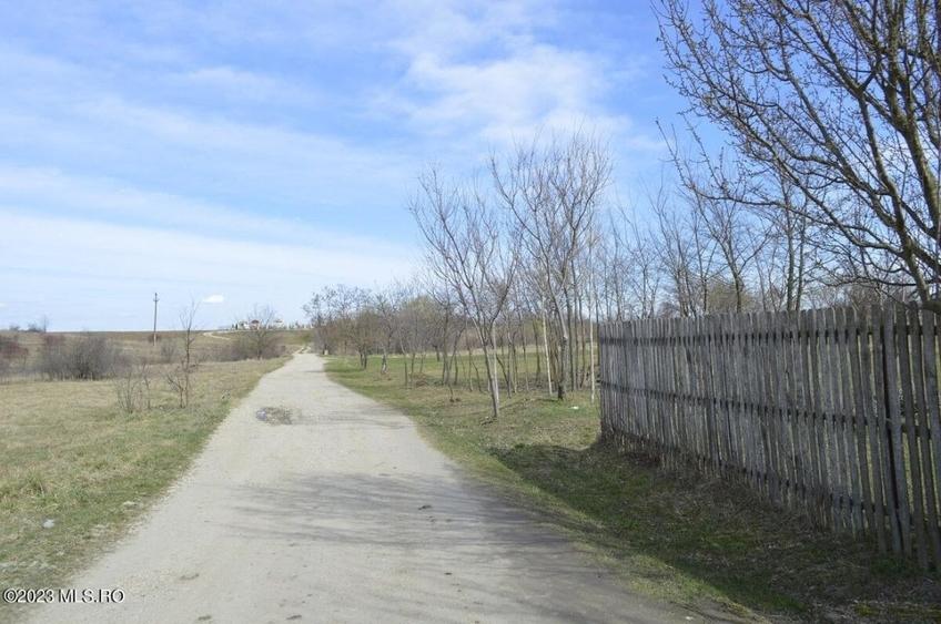 Suseni - Teren intravilan rezidential, suprafata 4000 mp! - 14