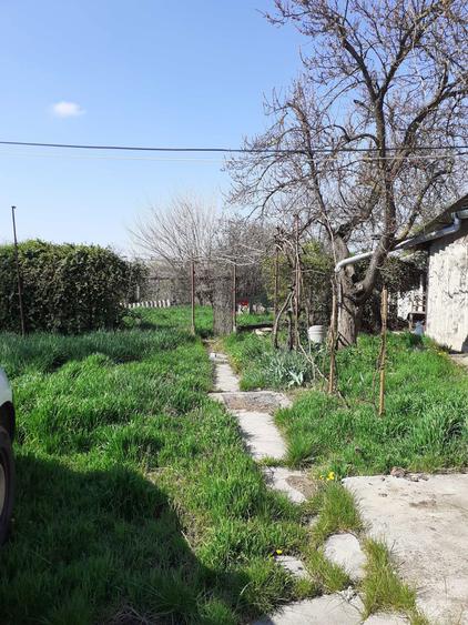 Vand casa cu gospodarie - Jud Arad - 1