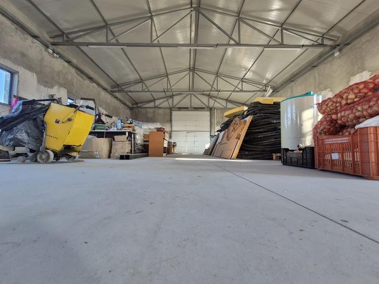 Teren 6500 mp Hala 500 mp | Platforma | Jilava | Centura - 8