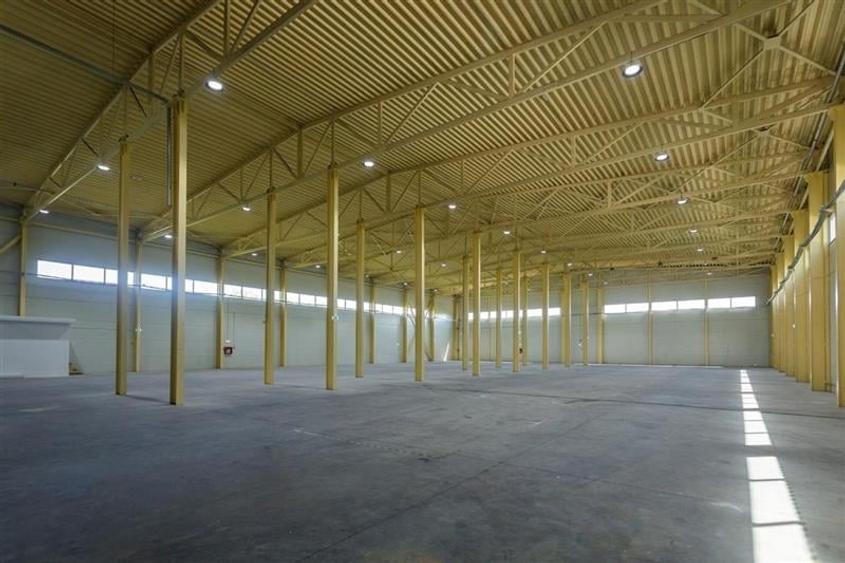 Inchiriere depozit/hala/spatiu industrial Otopeni - Centura - 4