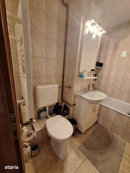!! 3 Camere model mare.. zona Timocului-A. Saguna vedere spre Bega - 8