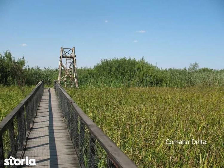 Vand loturi de 527 si 635 mp langa Delta Neajlovului la cel mai bun pr - 7