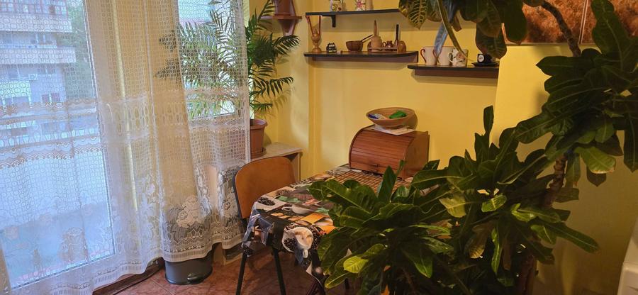 Inchiriez Apartament 2 Camere Ultracentral cu Balcon - 2