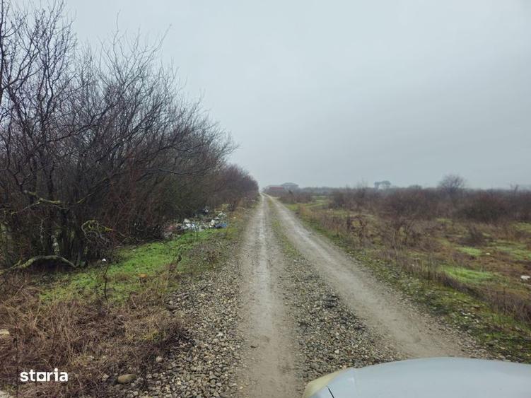 Vand teren intravilan sect 5 str livezi sos vartejului 2800 mp - 3