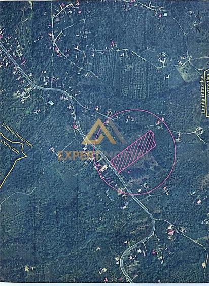 Teren intravilan de vanzare - 7