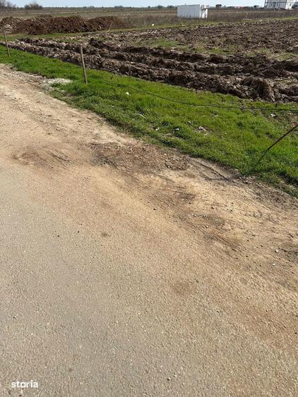 Teren de Vanzare, Comuna Berceni, Judetul Ilfov, Strada Intre Vii - 5