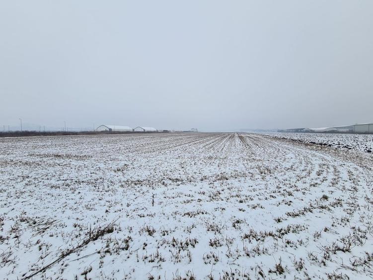 Teren industrial de vanzare in Stupini - 7