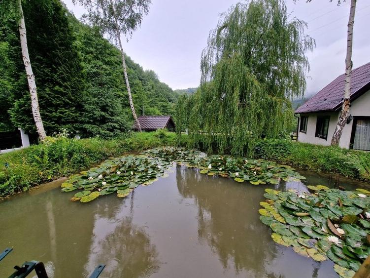 Complex Turistic - 900 mp utili -  teren 3000 mp - Piscina - zona turistica - 50