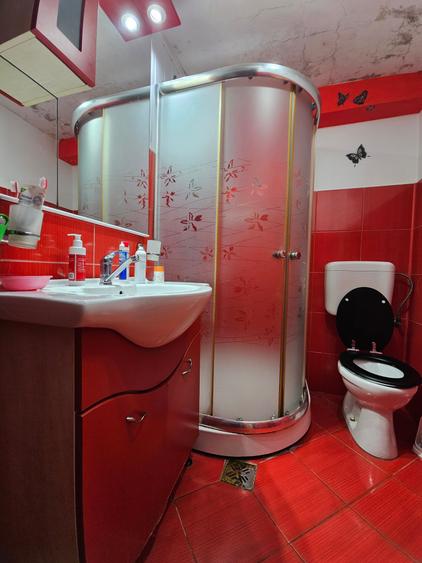 Coiciu Casa de Vanzare Casa din Vis P+M Parcare in Curte - 26