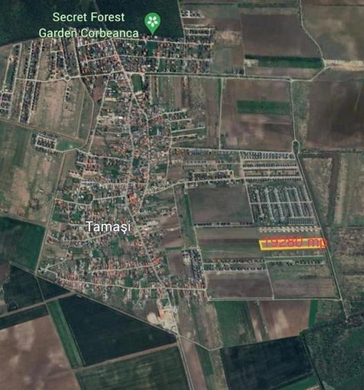 Vanzare teren 19280 mp, Corbeanca, Tamasi, deschidere 53ml - 2