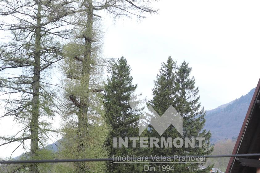 Apartament 2 camere în vilă | Bușteni  - 10