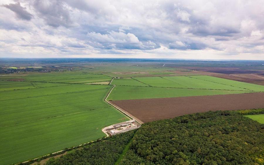 Teren arabil de 30 hectare in Constan?a - 2