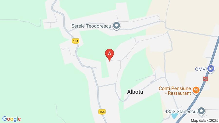 Vanzare vila superbă, P+1+Pod, Albota - 1