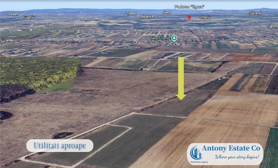 Oportunitate de investitie - Teren Cihei, langa Padurea Nojo - 4