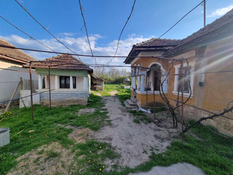 Vand Casa la tara - 3
