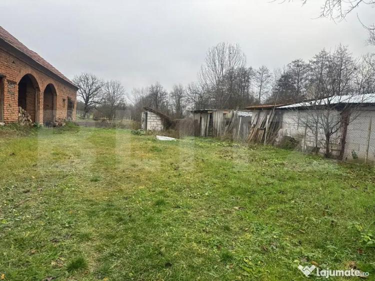 Casa cu 2 camere in Densus, 20 km de Manastirea Prinslop - 10