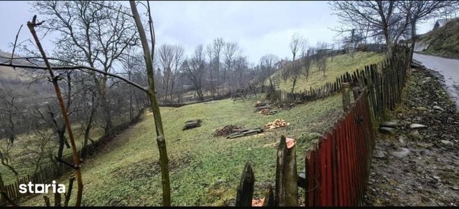 Teren intravilan 1.131 mp | Valea Doftanei | panorama spre munte - 3