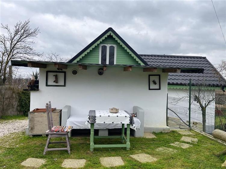 Casa de vanzare in Nufaru-judet Tulcea - 31