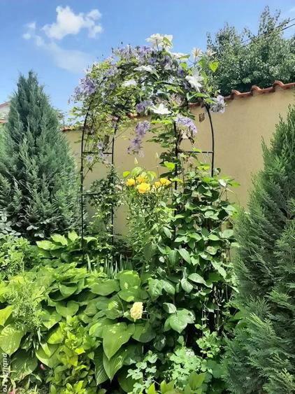 Casă cu Teren 300 Mp în Chiajna