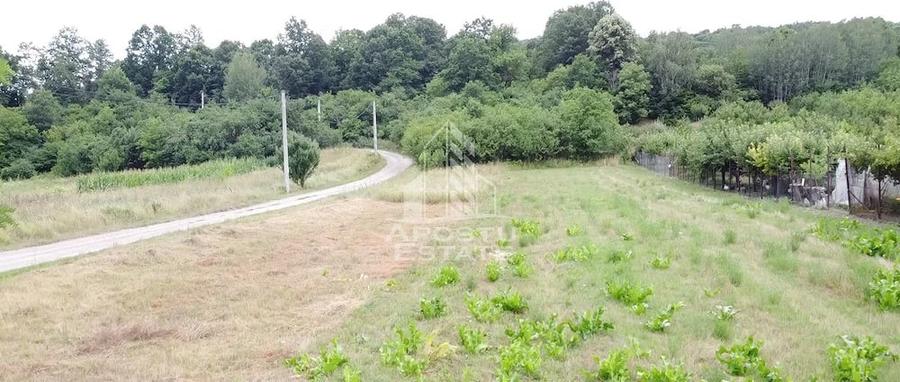 Teren de 2605 mp, în Pestișu Mic