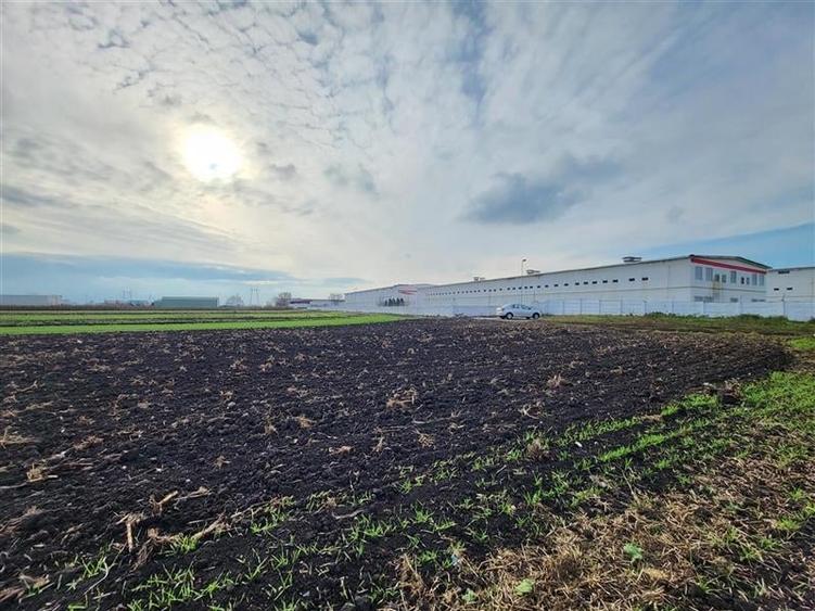 Teren Construcții extravilan de 28100 mp, în Hălchiu