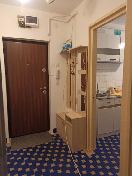 1 Mai-Domenii, apartament 2 camere spatios, etaj1/10 - 4