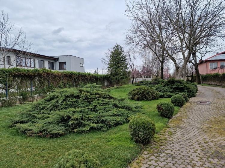 Buftea teren 700 mp SUPERB cu AConstruire P+1E - 5