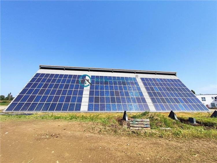 Royal Imobiliare - Inchirieri Spatii industriale/ Hale - 4