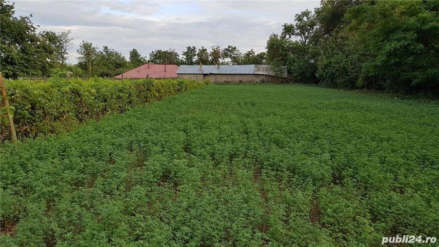 de vanzare casa + teren sat Salceni com Tutova - 2