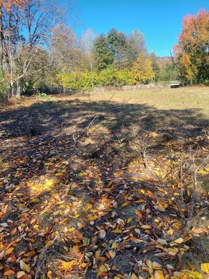 Vând teren 4200mp, int și ext în Romani  de jos - 5