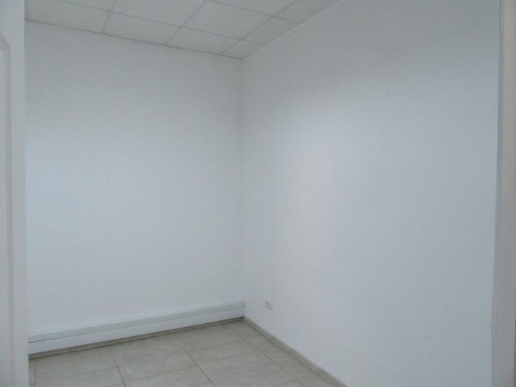 Inchiriere Spatiu Comercial Teiul Doamnei - 12