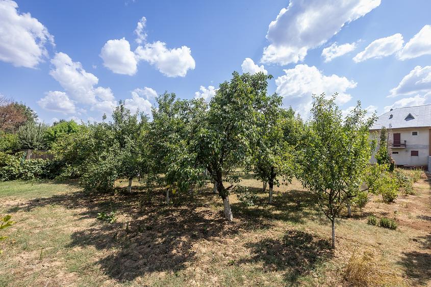 Locație rară: casă între pădure și apă, perfectă pentru un proiect de suflet - 33