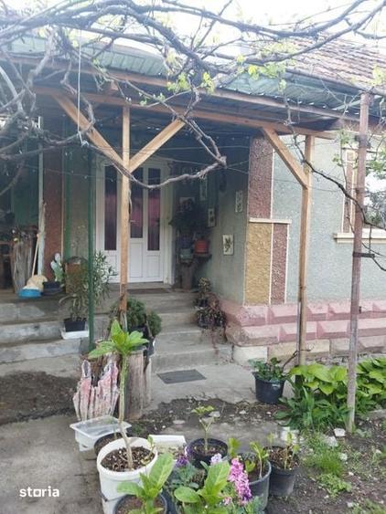 Casa cu teren 2800 mp in Baita - 8