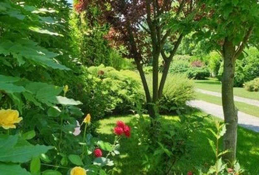 Dimineți pe ponton, seri la piscină – viața la Snagov. - 8