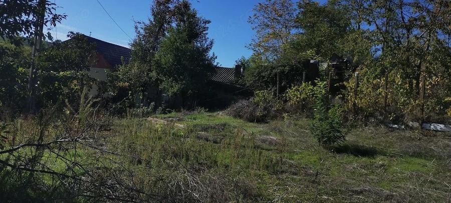 Casa batranesca Somova - 2