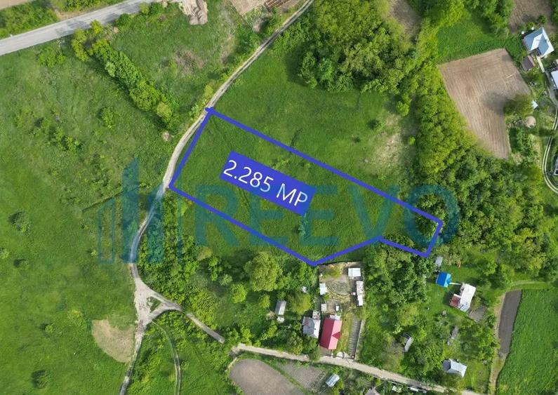 Teren de vanzare, Com. Racova, Str. Bradului, Bacau - 8