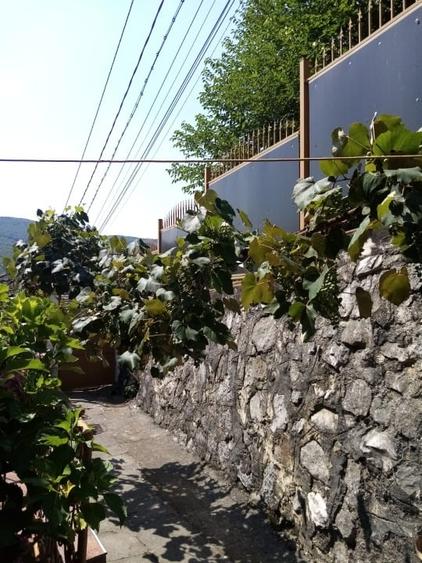 Locuință cu priveliște: Casă bifamilială într-o locație liniștită. - 6