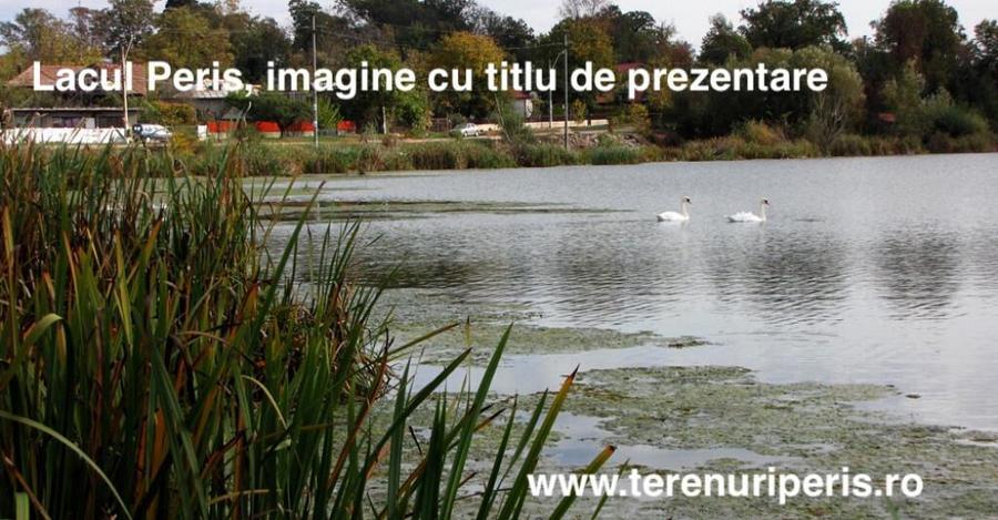 Teren Peris 500mp IN RATE 500 teren langa Ciolpani, Izvorani - 5