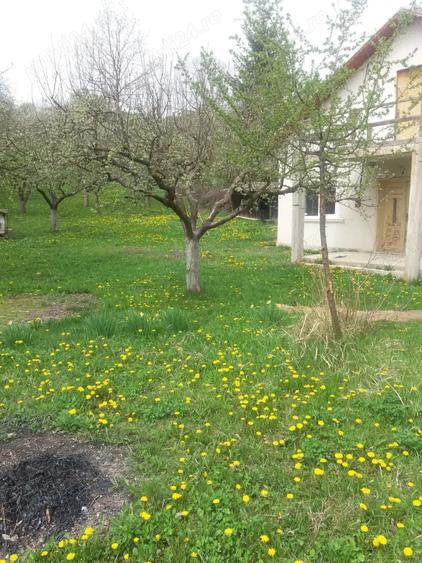 casa pe parter in Hulubesti Dambovita la numai 32000 euro - 3