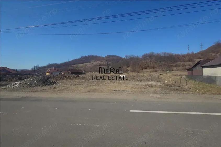 Teren intravilan in Brad - 1