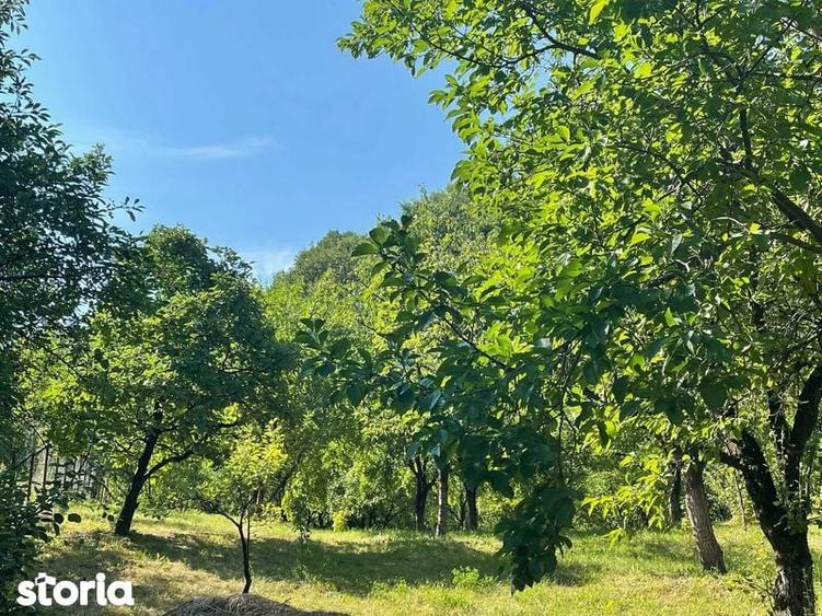 Vand casa Magura (4 Camere) + teren - 7