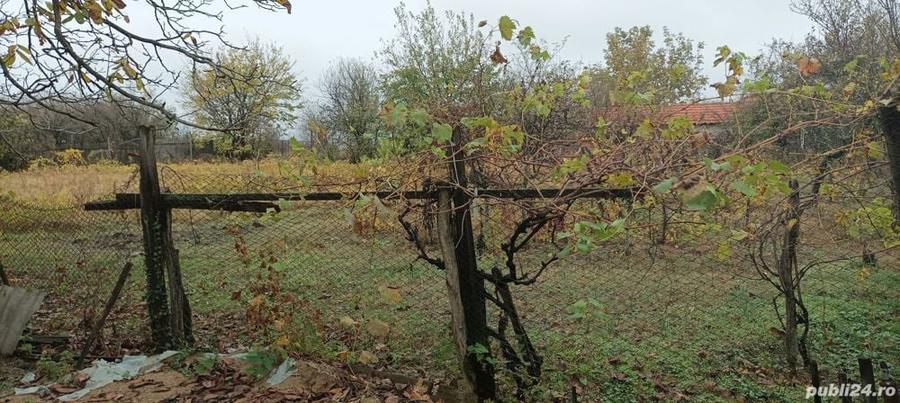 vand casa cu curte si teren in Padina Mica, Mehedinti - 7