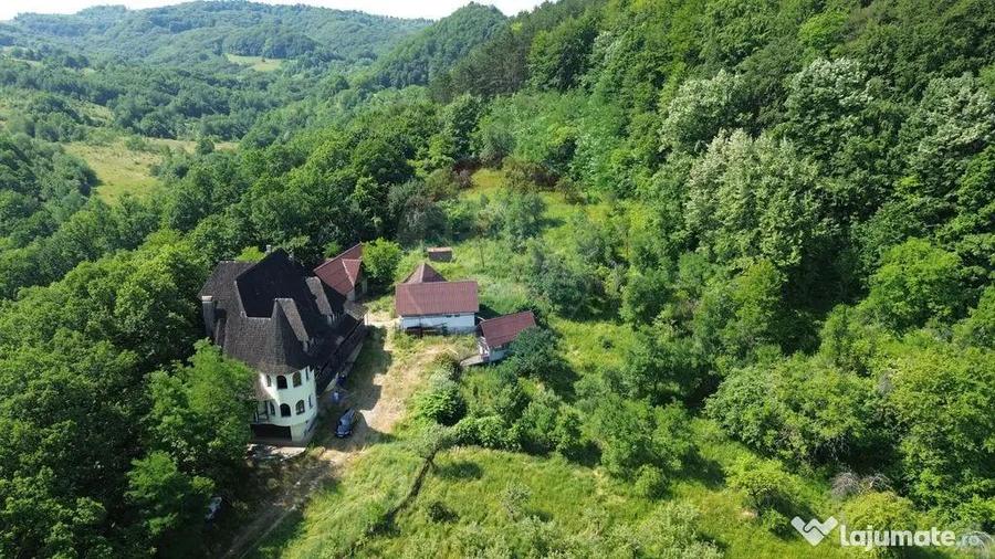 Castel de Vanzare IN MARAMURES - 3