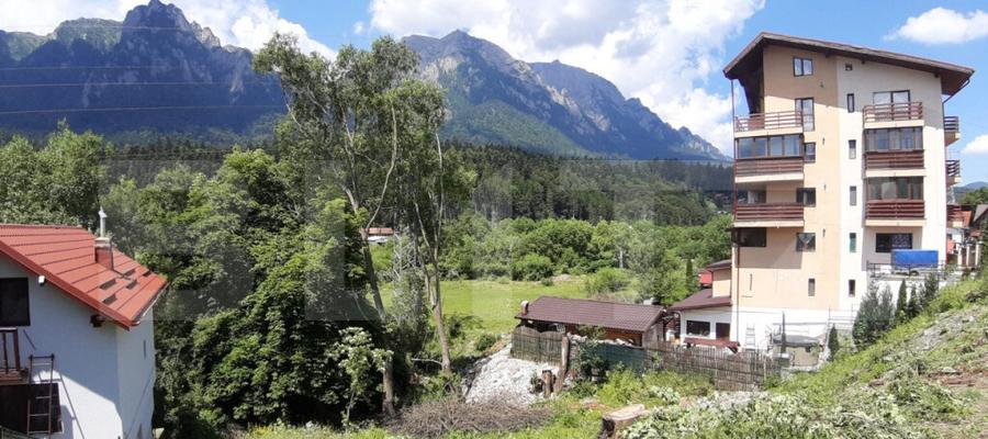 Teren in Bu?teni, 500 mp - 4