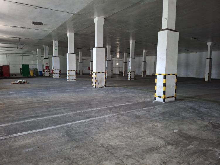 Depozit  de inchiriat in suprafta de 1914 mp - 3