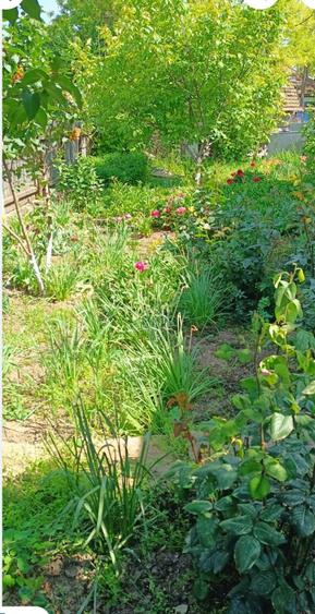 Vand casa posibilitate rate - 2