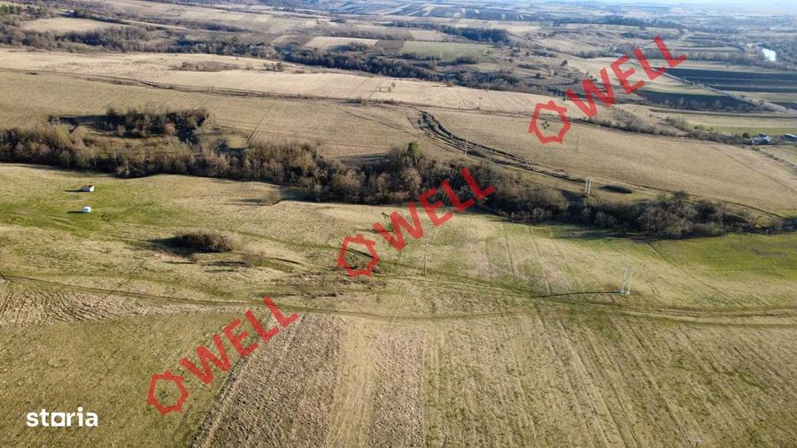 De vanzare teren extravilan in Capeni - 3