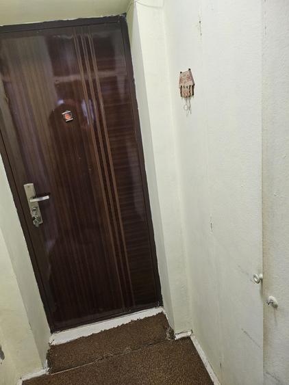 Obor x Teiul Doamnei - 5 minute metroul Obor - 3